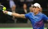 Coppa Davis – Finale: Serbia vs Rep. Ceca 1-1. Risultati prima giornata. Novak Djokovic batte in tre set Radek Stepanek. Risponde Berdych che vince facile contro Lajovic
