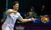 ATP Stoccarda: Risultati Live Day 1. Live dettagliato