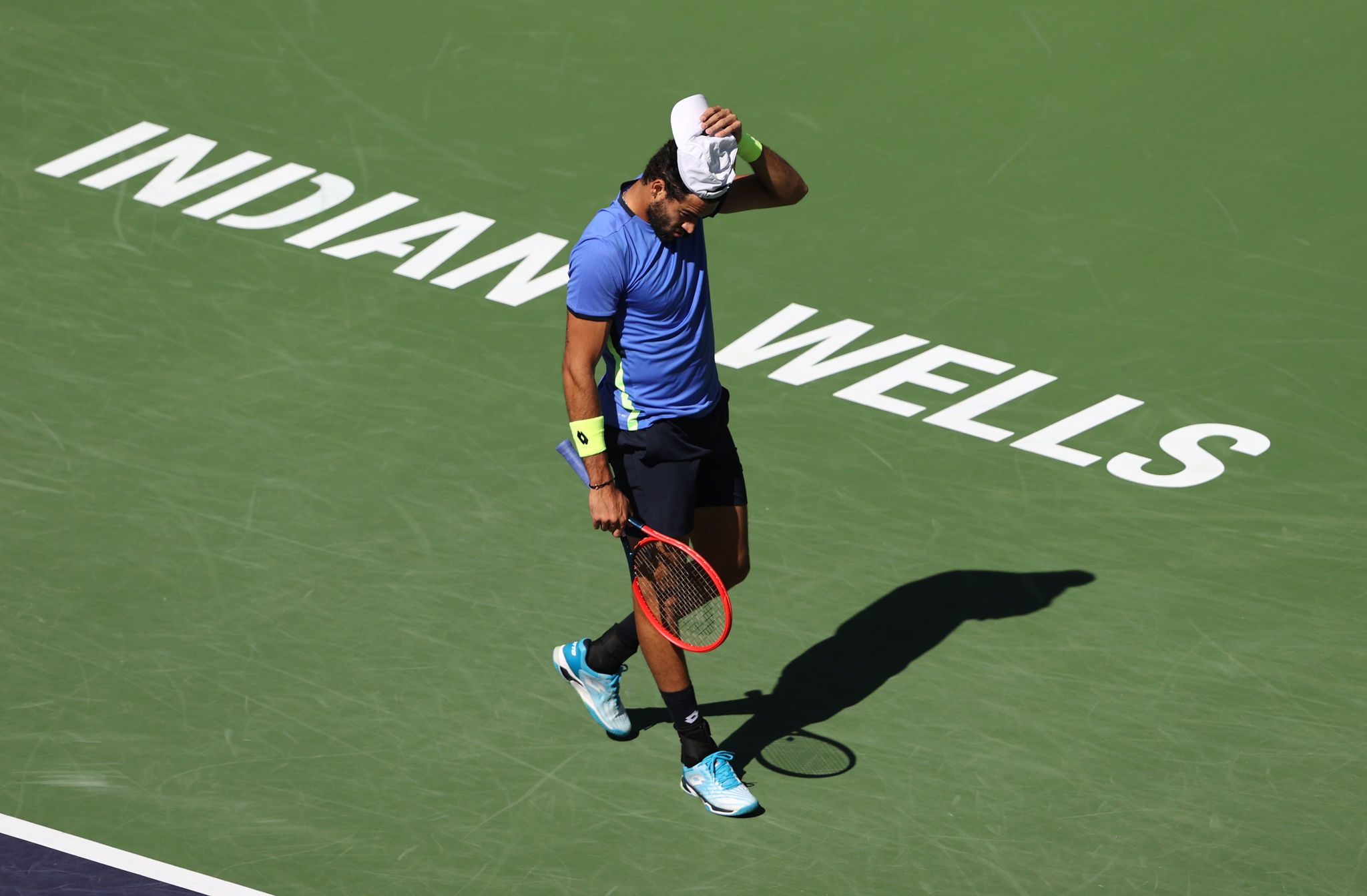 Matteo Berrettini nella foto