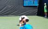 Masters 1000 – Miami: Simone Bolelli si fa male al polso destro. L’azzurro si ritira ad inizio secondo set contro il bulgaro Dimitrov