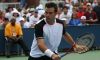 Il Collegio di Garanzia dello Sport: Daniele Bracciali contro Potito Starace e la Federazione Italiana Tennis