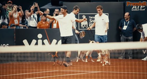 Il torneo di Sao Paulo ed i cani raccattapalle (Video)