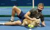 Bella iniziativa a favore dei cani abbandonati al Challenger di Nur Sultan