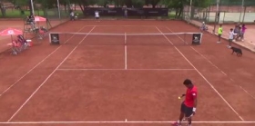 Video del Giorno: Un cane tra due tennisti