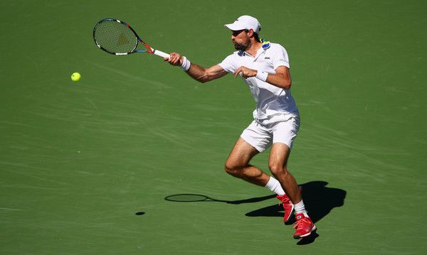 Jeremy Chardy nella foto