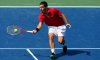 Challenger Portoroz: Il Tabellone Principale. Viola e Cipolla sono teste di serie. C’è anche Riccardo Ghedin