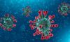 Coronavirus: circoli sportivi chiusi in 44 nazioni. Africa “paralizzata”: che ne sarà del tennis nel 2020?
