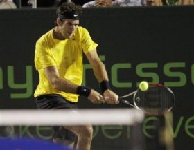 Juan Martin Del Potro classe 1988, n.51 del mondo