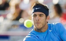 Juan Martin Del Potro classe 1988, n.15 del mondo