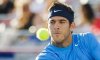Coppa Davis – Finale – Spagna vs Argentina: Problemi al ginocchio per Juan Martin Del Potro