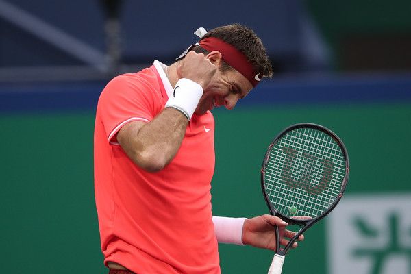 Juan Martin Del Potro nella foto