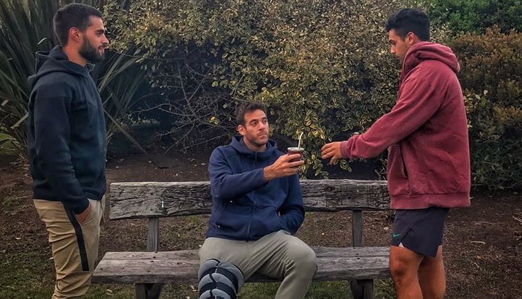 Juan Martin Del Potro nella foto