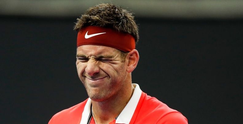 Juan Martin Del Potro nella foto