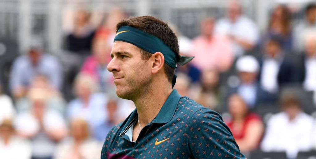 Juan Martin Del Potro nella foto