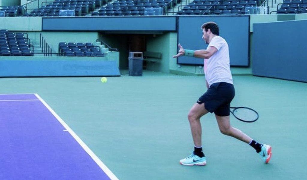 Juan Martin Del Potro nella foto