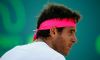 Juan Martin Del Potro ed il suo rovescio