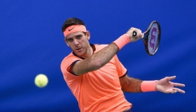 Juan Martin Del Potro nella foto