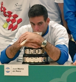 Juan Martin Del Potro nella foto