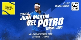 Juan Martin Del Potro nella foto