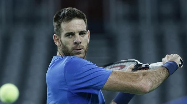 Juan Martin Del Potro nella foto