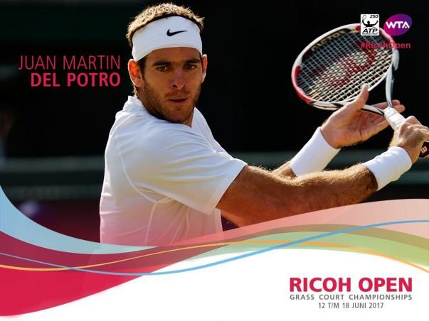 Juan Martin Del Potro nella foto