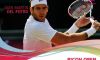 Gli organizzatori del torneo di s’-Hertogenbosch annunciano la presenza di Del Potro