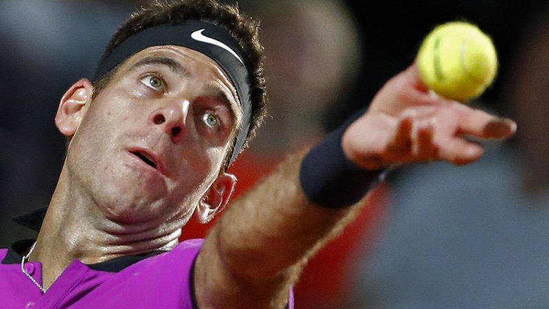 Juan Martin Del Potro nella foto