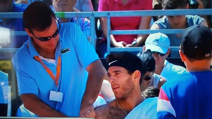 Juan Martin Del Potro nella foto