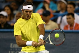 Juan Martin Del Potro classe 1988, n.7 del mondo