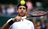 A rischio il torneo di Cincinnati per Juan Martin Del Potro. Dolgopolov si opera al polso destro, stagione finita