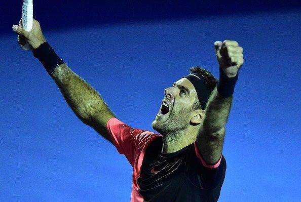 Juan Martin Del Potro nella foto