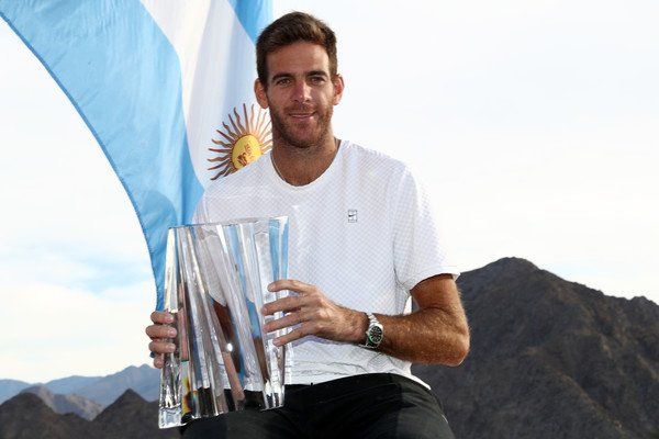 Juan Martin Del Potro nella foto