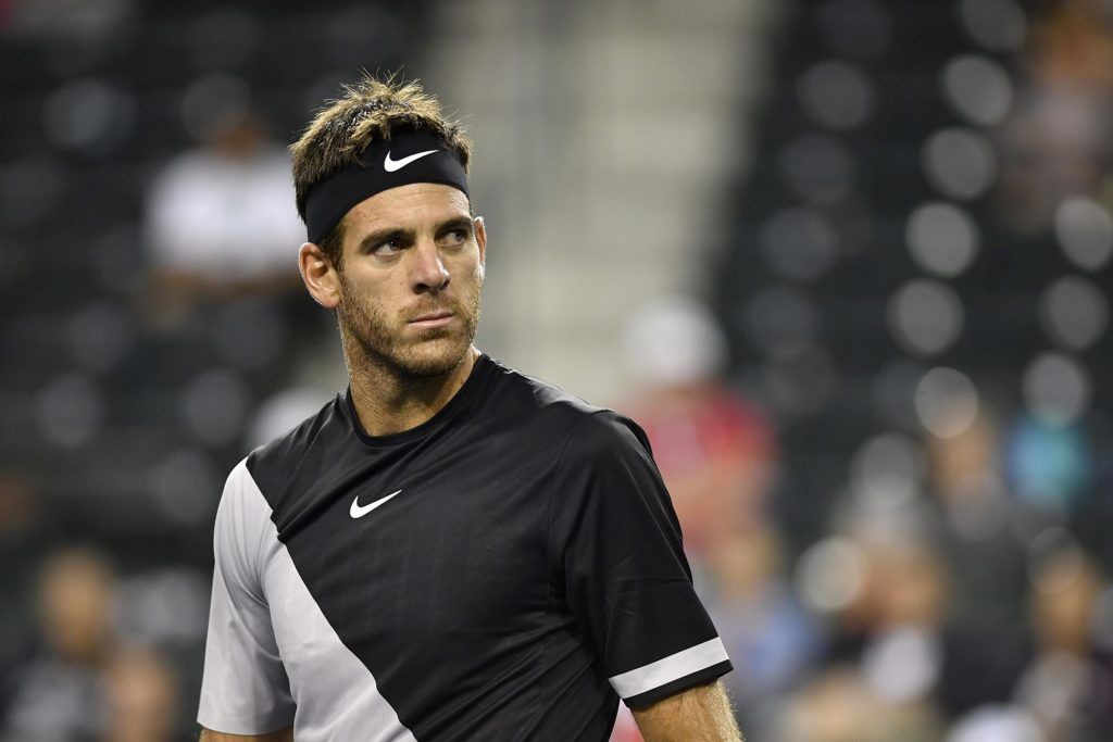Juan Martin Del Potro nella foto