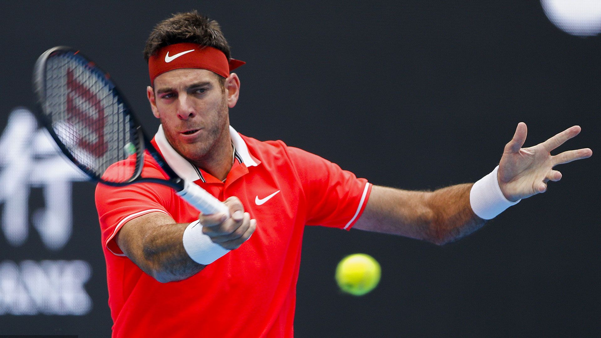 Juan Martin Del Potro nella foto