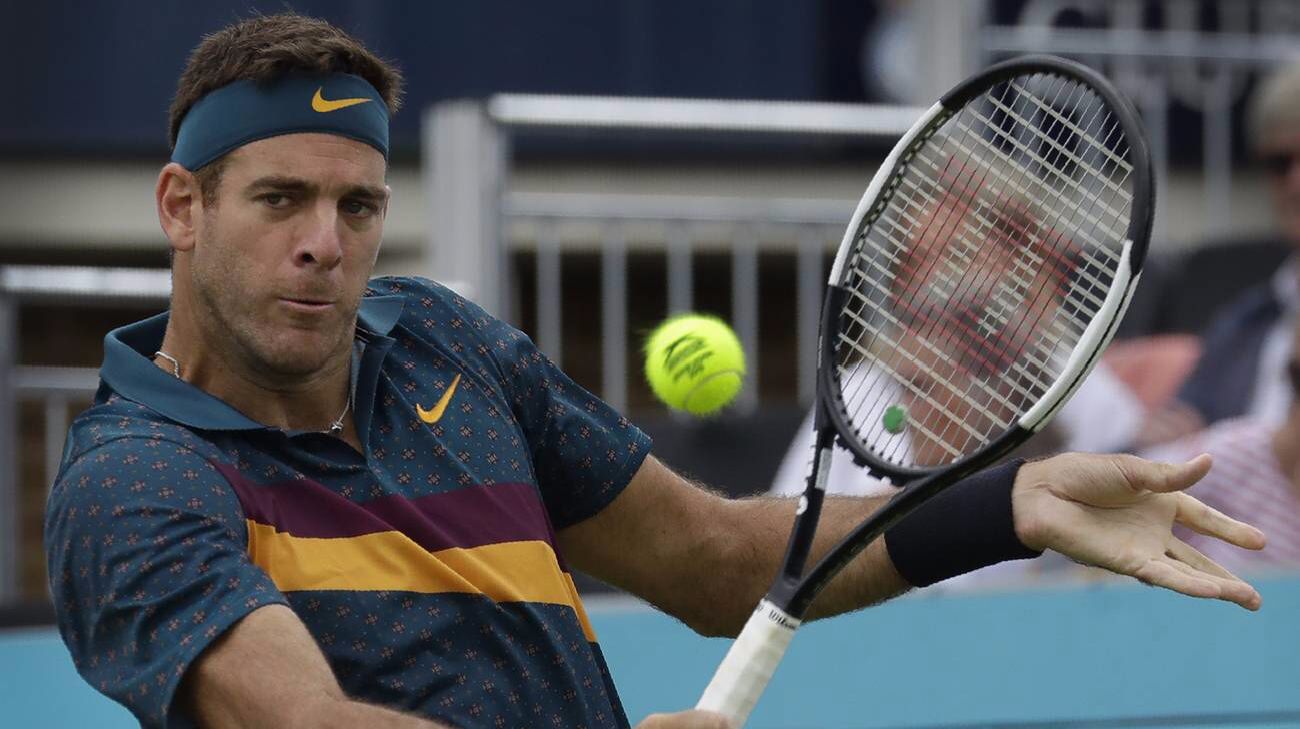 Juan Martin Del Potro nella foto