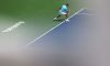 Masters 1000-WTA Cincinnati: Risultati Ottavi di Finale. Livescore dettagliato. Federer ai quarti di finale. Novak Djokovic viene sconfitto anche da Tommy Robredo. Eliminate Errani-Vinci nel doppio