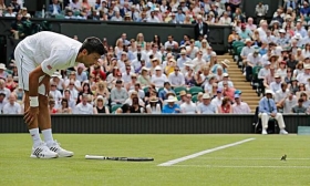 Novak Djokovic classe 1987, n.1 del mondo