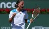 Vista da Marco Mazzoni: Dolgopolov in cattedra, Fognini non si accende
