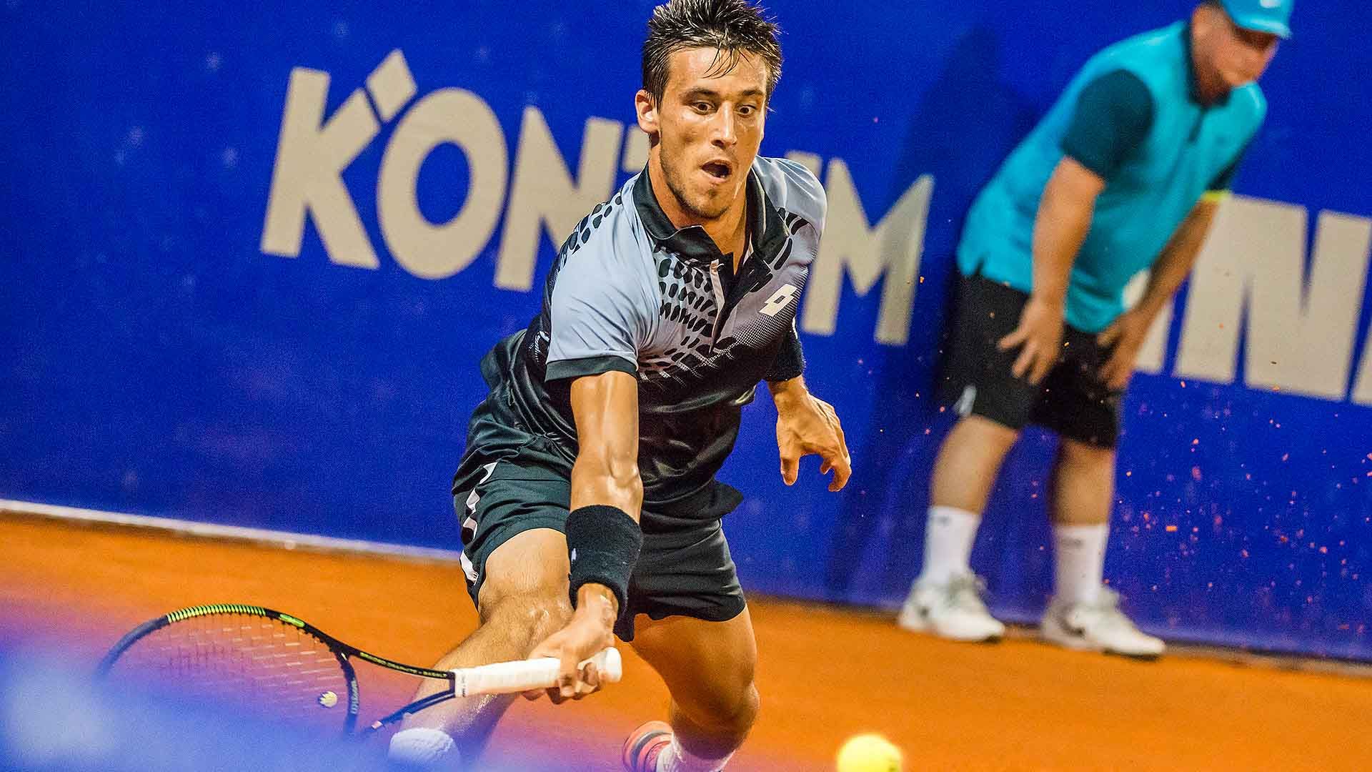 Damir Dzumhur nella foto
