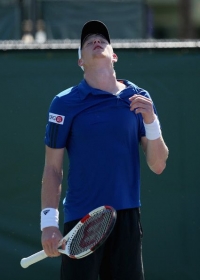 Kyle Edmund classe 1995, n.242 ATP