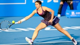 Errani344_normal.jpg