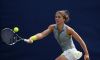 Wimbledon F: La situazione aggiornata Main Draw. Nelle quali ci sarà solo Alberta Brianti