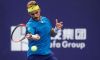 ATP Washington, Kitzbuhel e Los Cabos: Entry list. Thomas Fabbiano punta a Washington