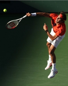 Roger Federer classe 1981, n.2 del mondo
