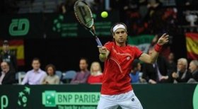 David Ferrer classe 1982, n.5 del mondo