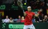 Coppa Davis – Finale: Rep Ceca vs Spagna 0-1. Ferrer doma Stepanek in tre set