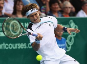 David Ferrer classe 1982, n.5 del mondo