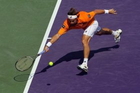 David Ferrer classe 1982, n.6 del mondo