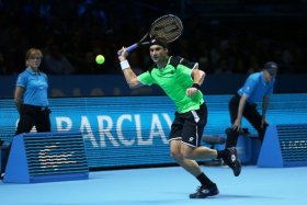 David Ferrer classe 1982, n.5 del mondo