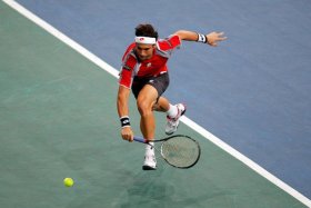 David Ferrer classe 1982, n.5 del mondo